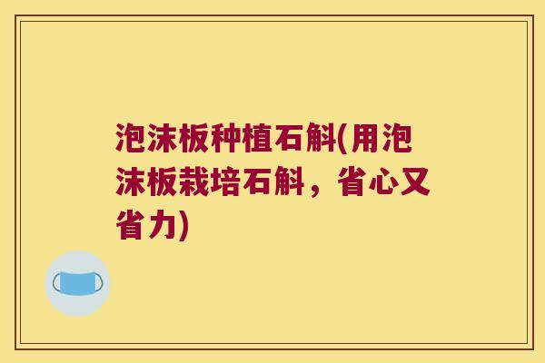 泡沫板种植石斛(用泡沫板栽培石斛，省心又省力)