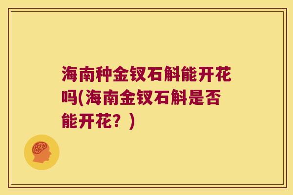 海南种金钗石斛能开花吗(海南金钗石斛是否能开花？)