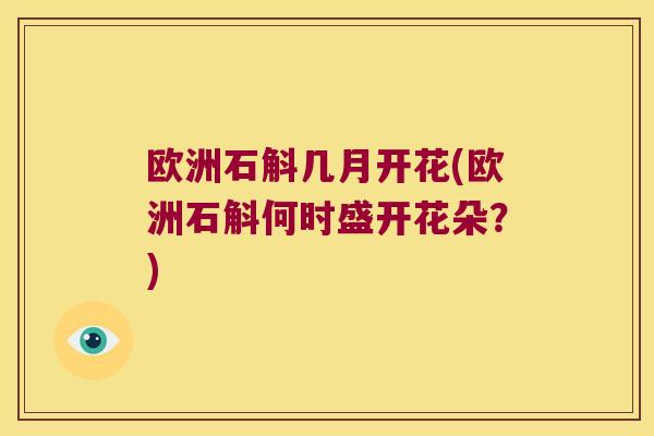 欧洲石斛几月开花(欧洲石斛何时盛开花朵？)