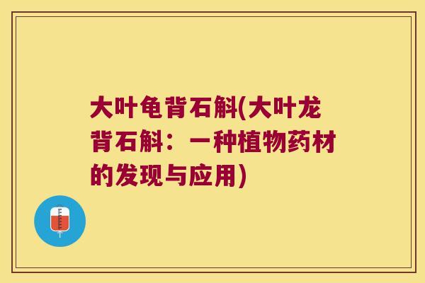 大叶龟背石斛(大叶龙背石斛：一种植物药材的发现与应用)