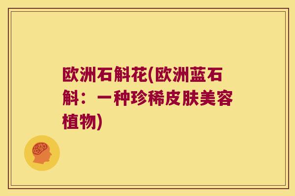 欧洲石斛花(欧洲蓝石斛：一种珍稀皮肤美容植物)