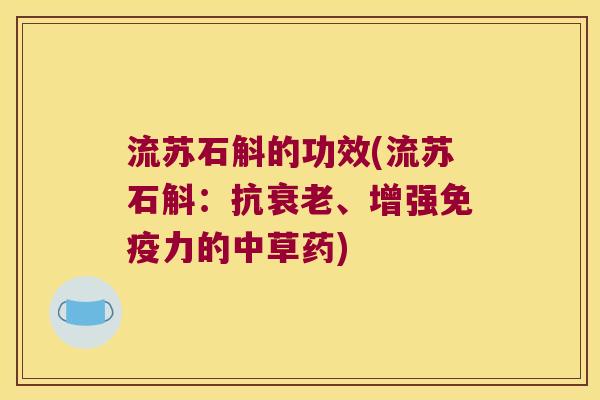 流苏石斛的功效(流苏石斛：抗衰老、增强免疫力的中草药)