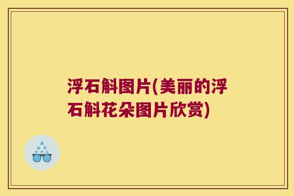 浮石斛图片(美丽的浮石斛花朵图片欣赏)