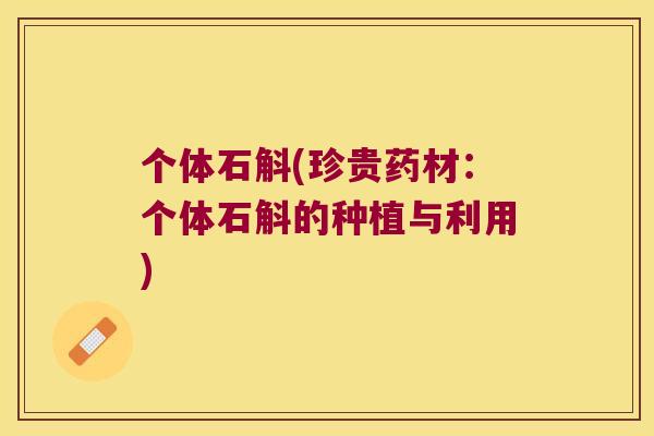 个体石斛(珍贵药材：个体石斛的种植与利用)