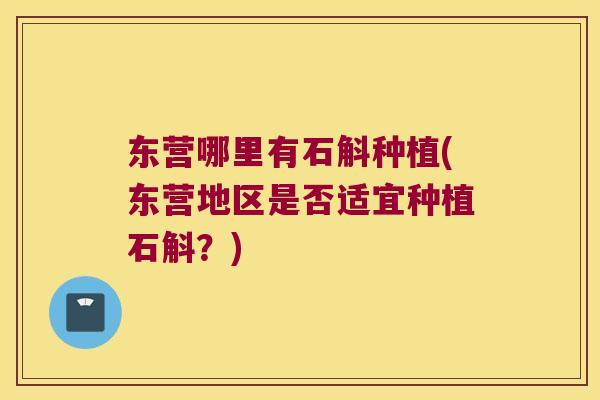 东营哪里有石斛种植(东营地区是否适宜种植石斛？)