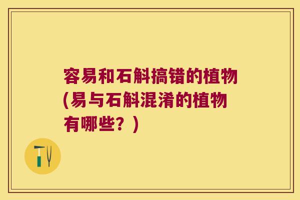 容易和石斛搞错的植物(易与石斛混淆的植物有哪些？)
