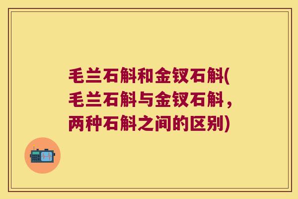 毛兰石斛和金钗石斛(毛兰石斛与金钗石斛，两种石斛之间的区别)
