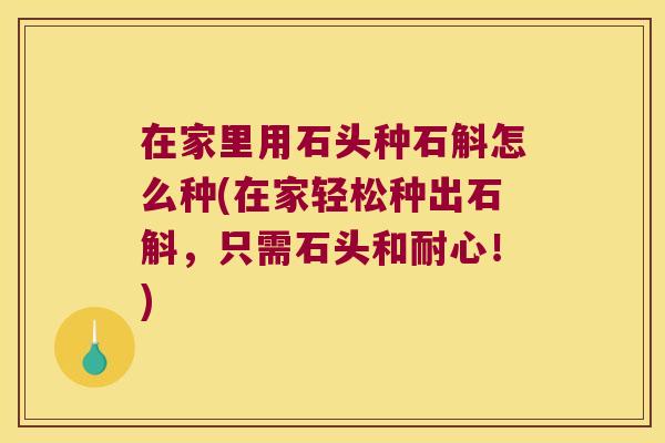 在家里用石头种石斛怎么种(在家轻松种出石斛，只需石头和耐心！)
