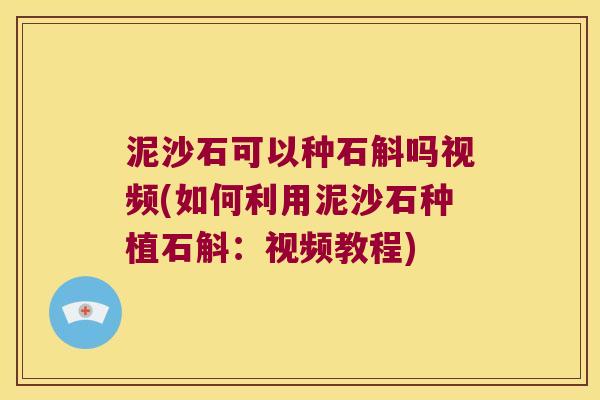 泥沙石可以种石斛吗视频(如何利用泥沙石种植石斛：视频教程)