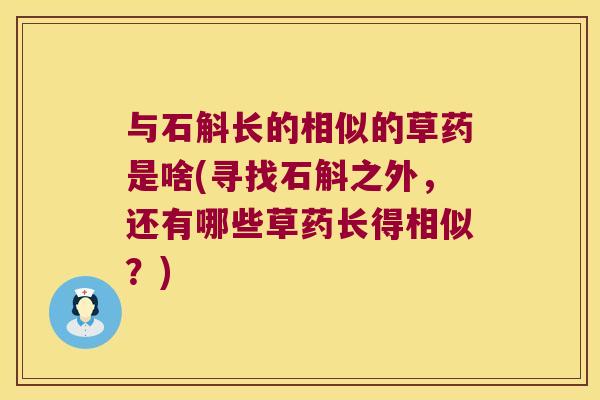 与石斛长的相似的草药是啥(寻找石斛之外，还有哪些草药长得相似？)