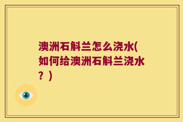 澳洲石斛兰怎么浇水(如何给澳洲石斛兰浇水？)