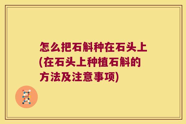怎么把石斛种在石头上(在石头上种植石斛的方法及注意事项)