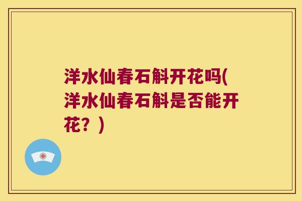 洋水仙春石斛开花吗(洋水仙春石斛是否能开花？)