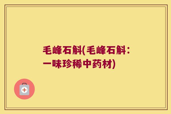 毛峰石斛(毛峰石斛:一味珍稀材) 毛峰石斛(毛峰石斛:一味珍稀材)