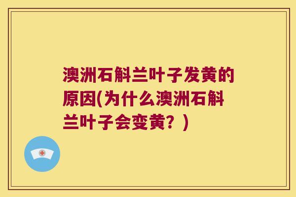 澳洲石斛兰叶子发黄的原因(为什么澳洲石斛兰叶子会变黄?) 澳洲石斛兰叶子发黄的原因(为什么澳洲石斛兰叶子会变黄?)