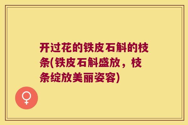 开过花的铁皮石斛的枝条(铁皮石斛盛放，枝条绽放美丽姿容)