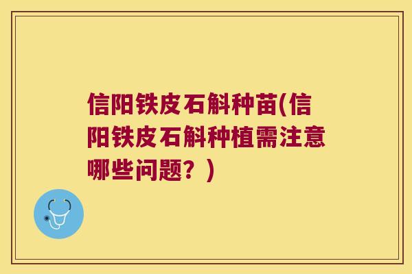 信阳铁皮石斛种苗(信阳铁皮石斛种植需注意哪些问题？)