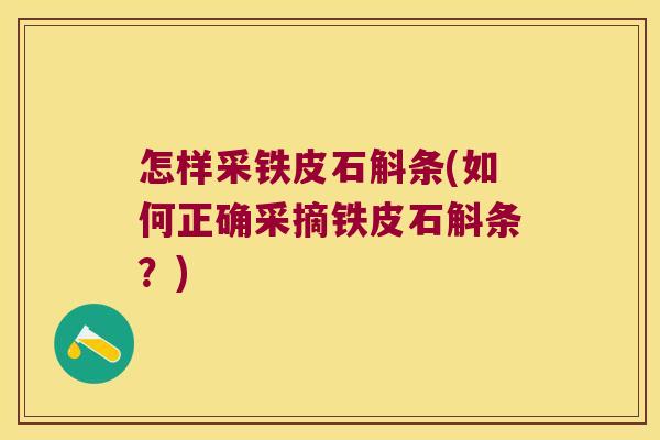 怎样采铁皮石斛条(如何正确采摘铁皮石斛条？)