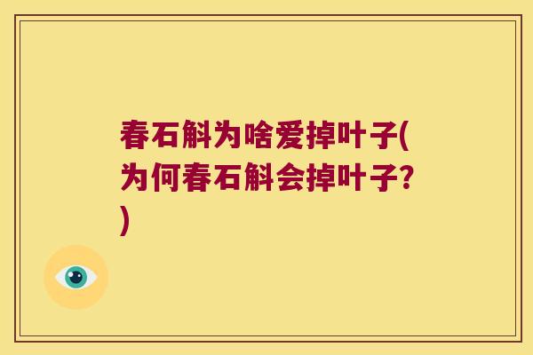 春石斛为啥爱掉叶子(为何春石斛会掉叶子？)