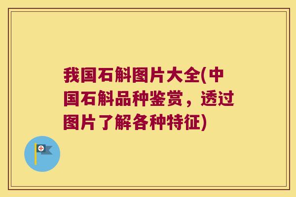 我国石斛图片大全(中国石斛品种鉴赏，透过图片了解各种特征)