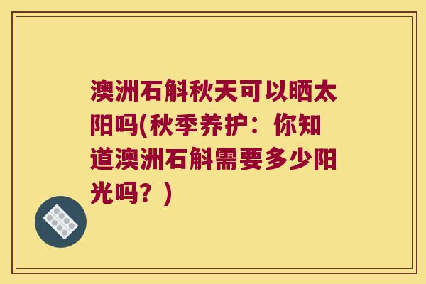 澳洲石斛秋天可以晒太阳吗(秋季养护：你知道澳洲石斛需要多少阳光吗？)