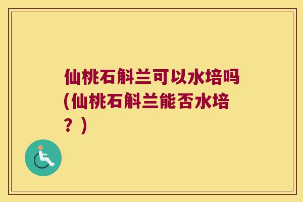 仙桃石斛兰可以水培吗(仙桃石斛兰能否水培？)