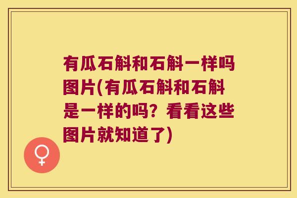 有瓜石斛和石斛一样吗图片(有瓜石斛和石斛是一样的吗？看看这些图片就知道了)