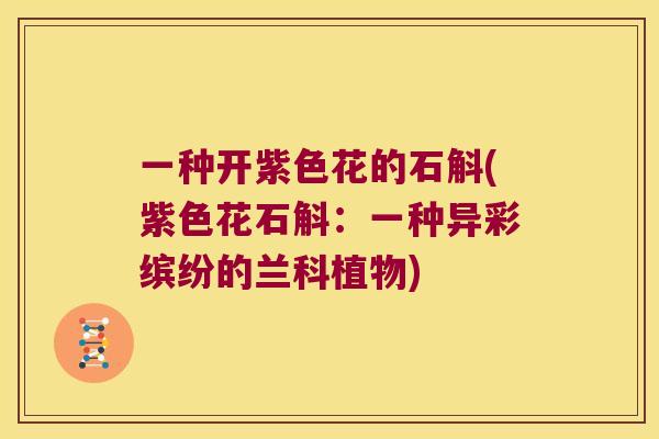 一种开紫色花的石斛(紫色花石斛:一种异彩缤纷的兰科植物) 一种开紫色花的石斛(紫色花石斛:一种异彩缤纷的兰科植物)