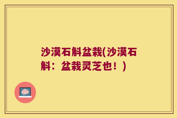 沙漠石斛盆栽(沙漠石斛：盆栽灵芝也！)