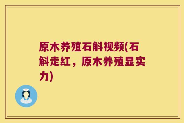 原木养殖石斛视频(石斛走红，原木养殖显实力)