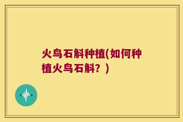 火鸟石斛种植(如何种植火鸟石斛？)