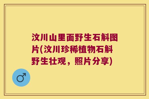 汶川山里面野生石斛图片(汶川珍稀植物石斛野生壮观，照片分享)
