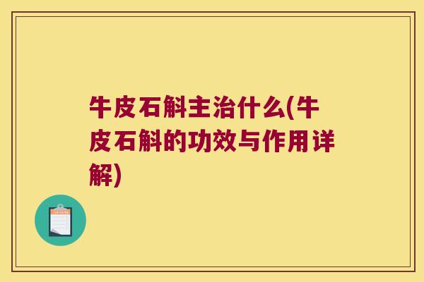 牛皮石斛主治什么(牛皮石斛的功效与作用详解)