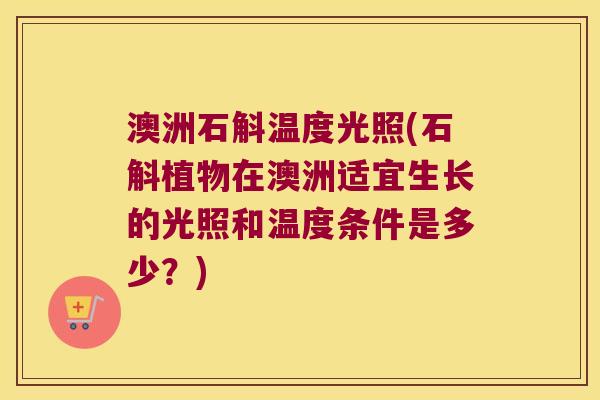 澳洲石斛温度光照(石斛植物在澳洲适宜生长的光照和温度条件是多少？)