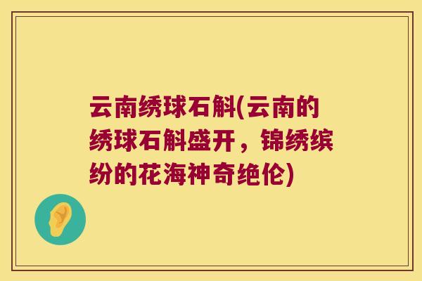 云南绣球石斛(云南的绣球石斛盛开，锦绣缤纷的花海神奇绝伦)