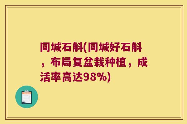 同城石斛(同城好石斛，布局复盆栽种植，成活率高达98%)