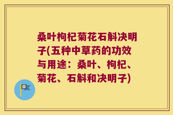 桑叶枸杞菊花石斛决明子(五种中草药的功效与用途：桑叶、枸杞、菊花、石斛和决明子)