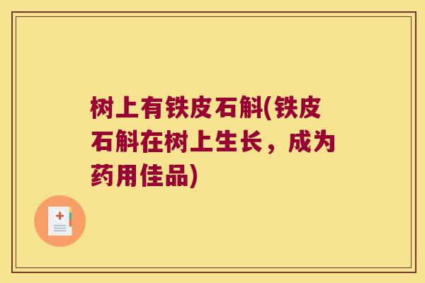 树上有铁皮石斛(铁皮石斛在树上生长，成为药用佳品)