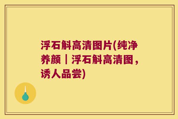 浮石斛高清图片(纯净养颜|浮石斛高清图,诱人品尝) 浮石斛高清图片(纯净养颜|浮石斛高清图,诱人品尝)