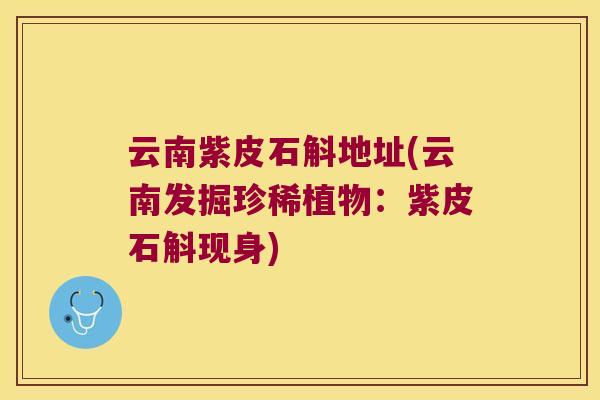 云南紫皮石斛地址(云南发掘珍稀植物：紫皮石斛现身)