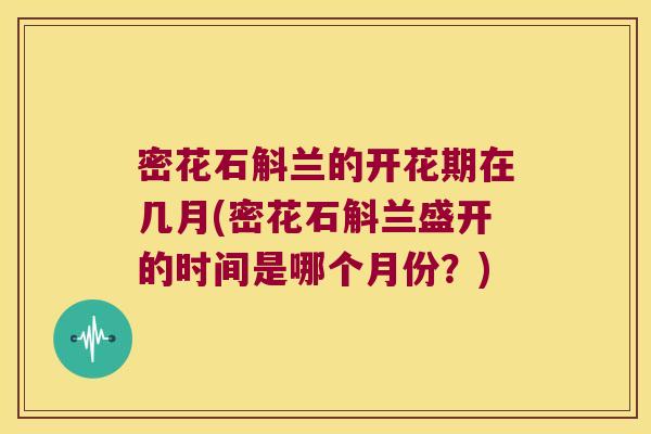 密花石斛兰的开花期在几月(密花石斛兰盛开的时间是哪个月份？)