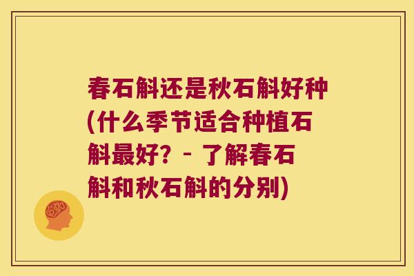 春石斛还是秋石斛好种(什么季节适合种植石斛最好？- 了解春石斛和秋石斛的分别)