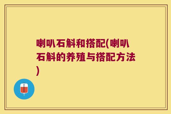 喇叭石斛和搭配(喇叭石斛的养殖与搭配方法) 喇叭石斛和搭配(喇叭石斛的养殖与搭配方法)