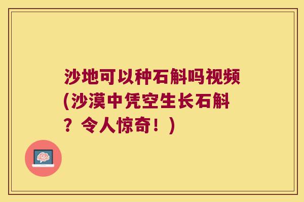 沙地可以种石斛吗视频(沙漠中凭空生长石斛?令人惊奇!) 沙地可以种石斛吗视频(沙漠中凭空生长石斛?令人惊奇!)