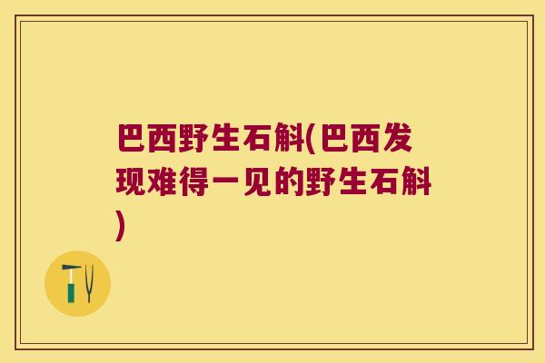 巴西野生石斛(巴西发现难得一见的野生石斛)