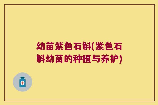 幼苗紫色石斛(紫色石斛幼苗的种植与养护)