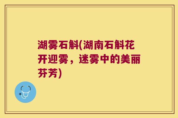 湖雾石斛(湖南石斛花开迎雾，迷雾中的美丽芬芳)