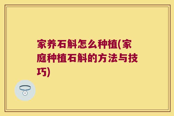 家养石斛怎么种植(家庭种植石斛的方法与技巧)