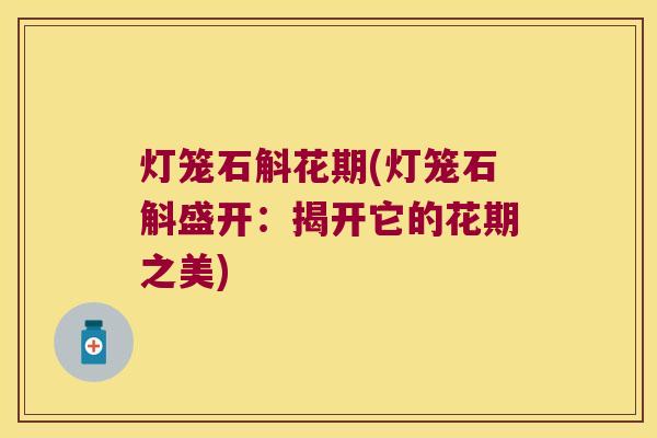 灯笼石斛花期(灯笼石斛盛开：揭开它的花期之美)
