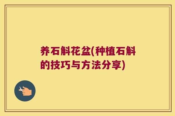 养石斛花盆(种植石斛的技巧与方法分享)
